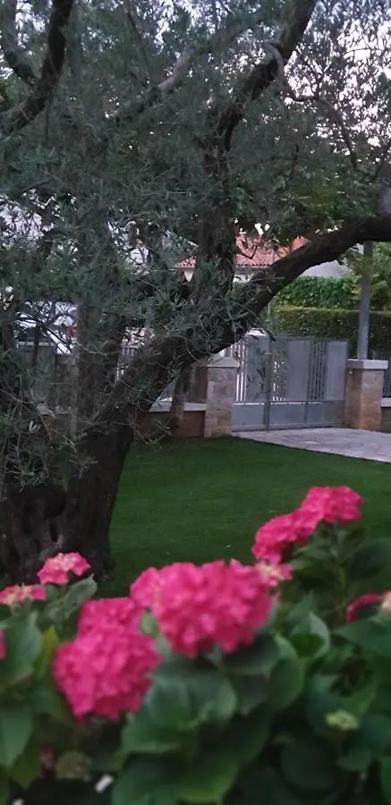 Apartments Cocaletto5 Rovigno